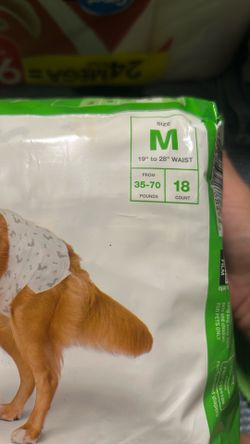 Dog diapers