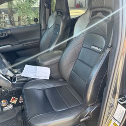 Corbeau Trail Cat Seats 