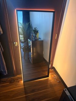60” Mirror with cob lights