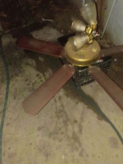 Ceiling fan