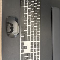 Apple Mouse and Keyboard