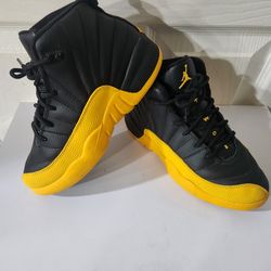 Air jordan 12 retro 1y