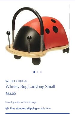 Kids Toy - Wheels Bug