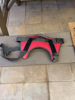 Dog Harness