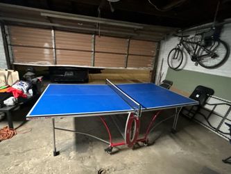 Ping Pong table