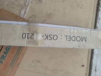 Shower door osk model 210