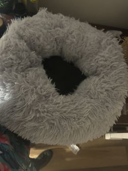 Cat Bed 