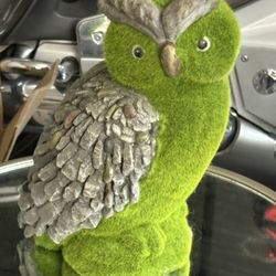 Cute Indoor/Outdoor Garden Decor