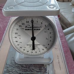 American Family Scale 