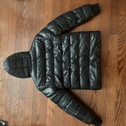 Black Shinny Puffer 
