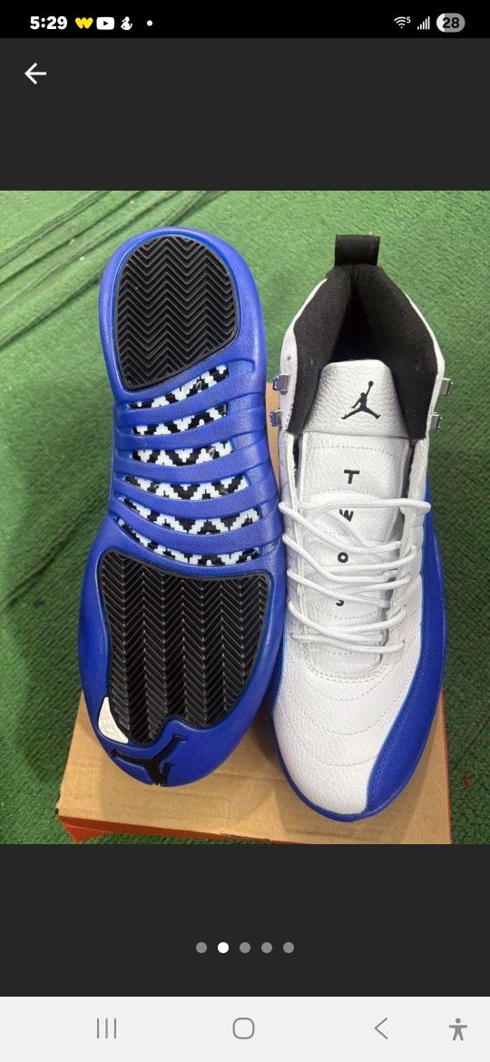 Jordan 12 Blueberry