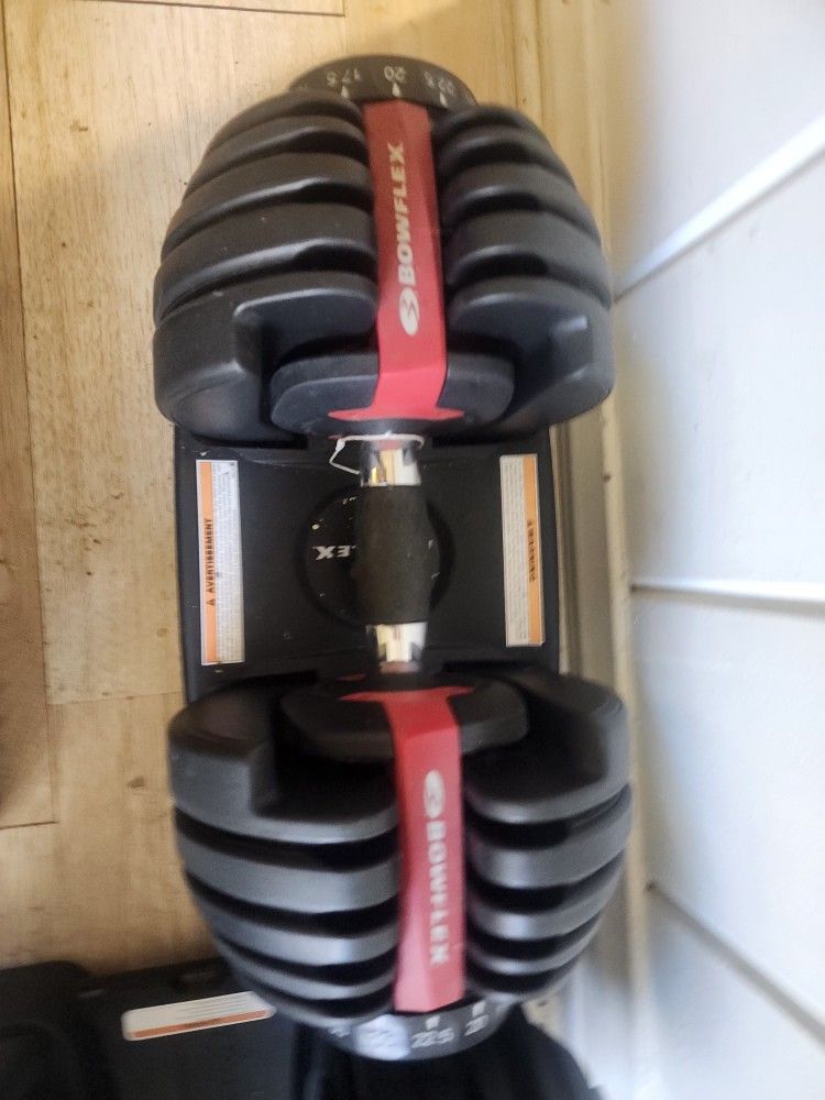 Bowflex Adjustable Dumbbell 