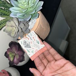 fake plant decor