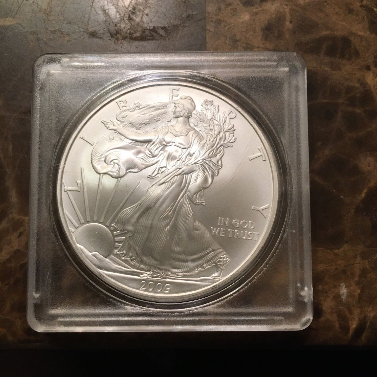 2009 American Silver Eagle Dollar Coin