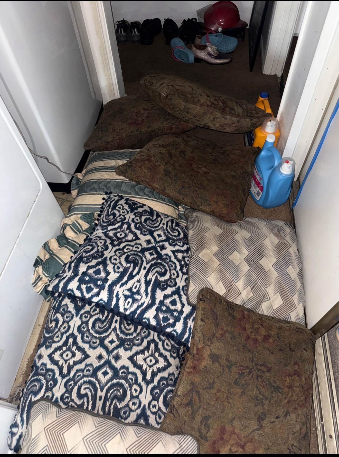 Pillows All For 20