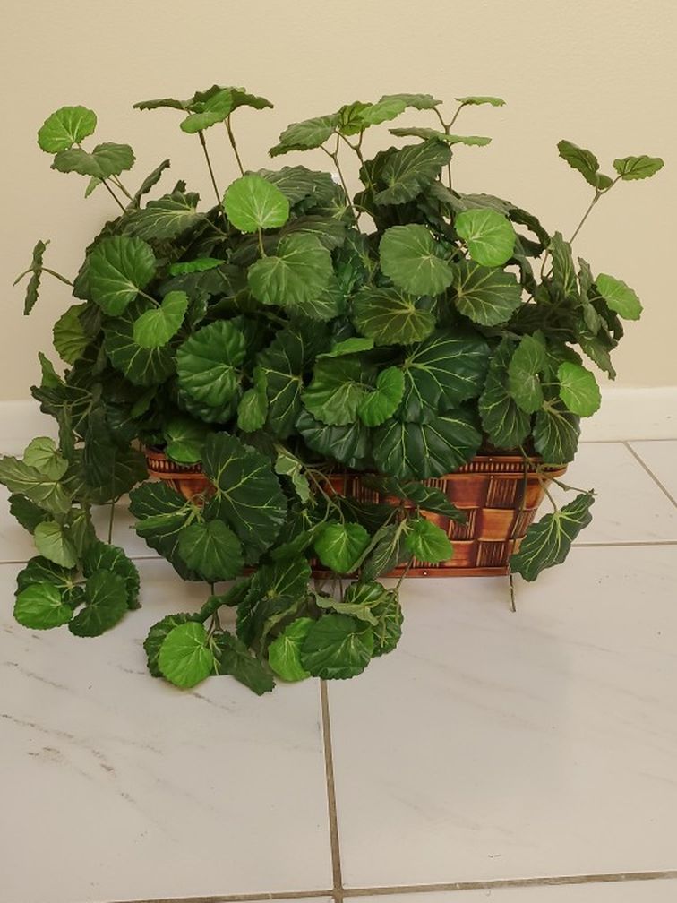 Green Artificial Plant In A Brown Color Basket
