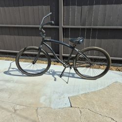Beach Crusier