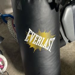 40 Pound Punching Bag 