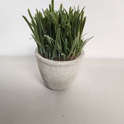 Fake Plant In Clay Pot Grass Decorations 