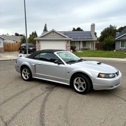 2003 Ford Mustang