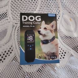 Dog Training Collar