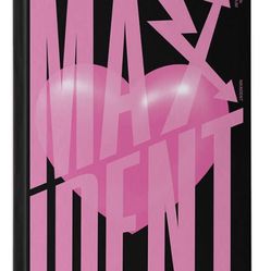 maxident stray kids