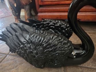 Large new  swans