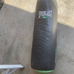 everlast punching bag 