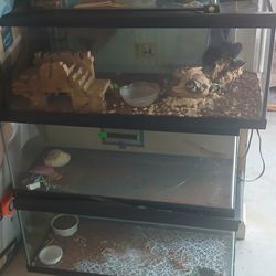 Fish Tanks