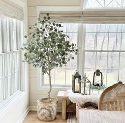 6ft Artificial Eucalyptus Tree in Plastic Nursery Pot