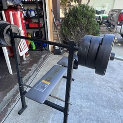 Work Out Bench With Weights
