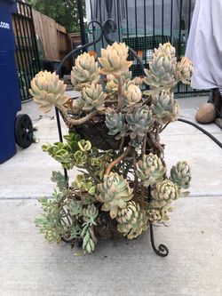 METAL 2 tier planter