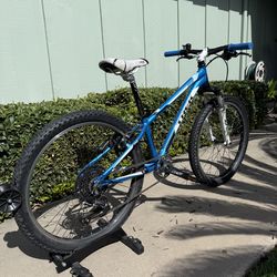 Trek MT 240 Bicycle 24”