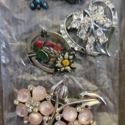 Pins/ Brooches 
