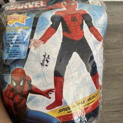 Spiderman Muscle -kids Large