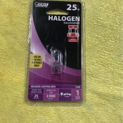 Halogen 25 Watt Light