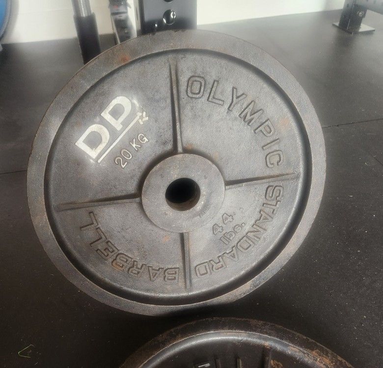 2 x 20 Kg (44 lbs) Olympic Weights
