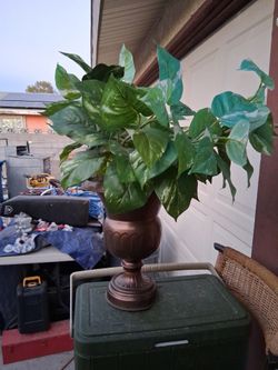 Fake Plastic Plant