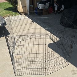 Puppy Gate