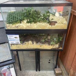 Aquariums!! 