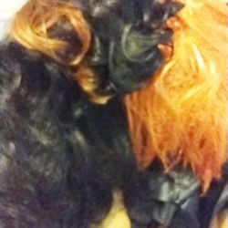 Halloween Wigs