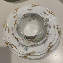 Haviland French Limoges 