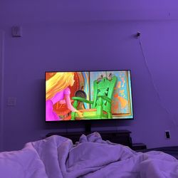 Vizio Tv 55 Inch With Stand 