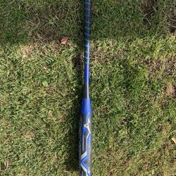 Mizuno Baseball Bat