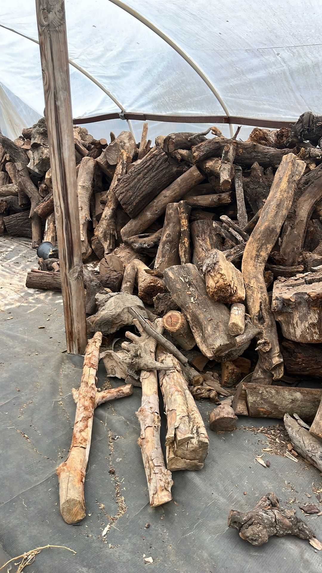 Firewood