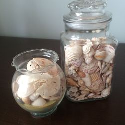 Glass jars with shells - $20