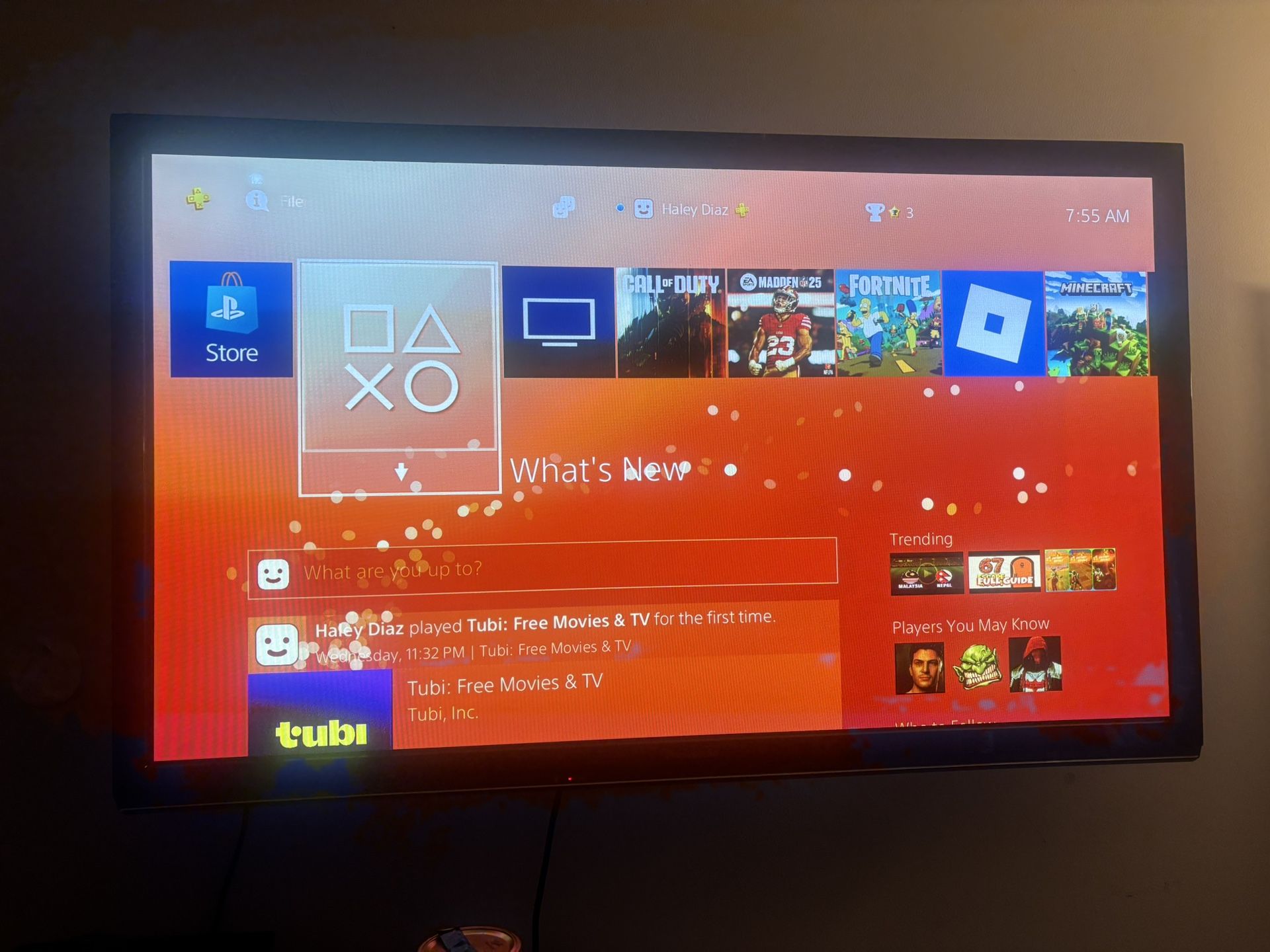 Tv (Panasonic 50 In ) Or PlayStation 4 