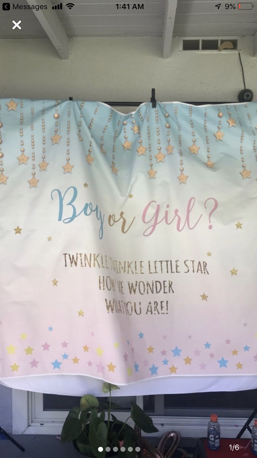 Gender Reveal Banner and Other Decor