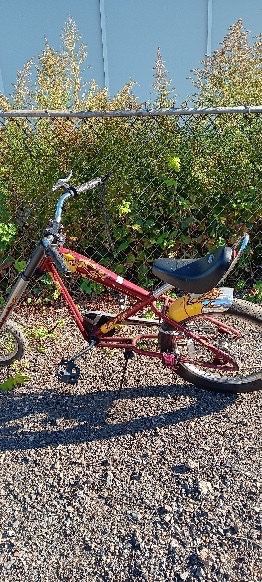 Vintage Harley Davidson Bicycle