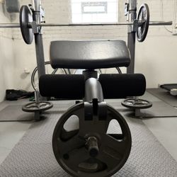 Weight Bench With plates 